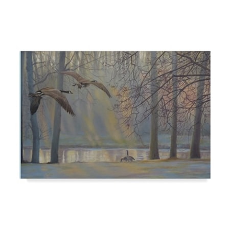 Rusty Frentner 'Geese An Pond' Canvas Art,30x47